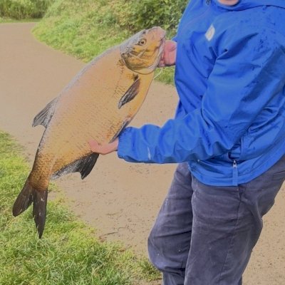 FiskeKongenKaj
