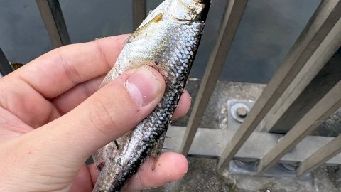 5513