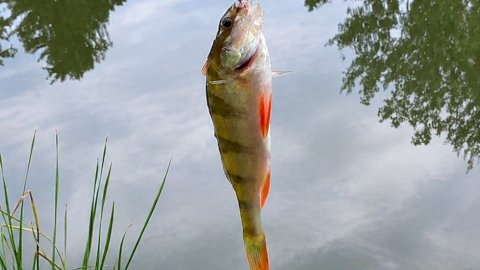 6404