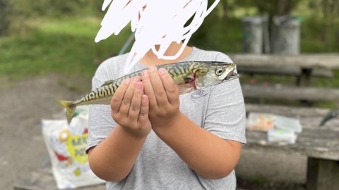 6186