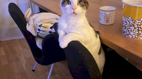 6180