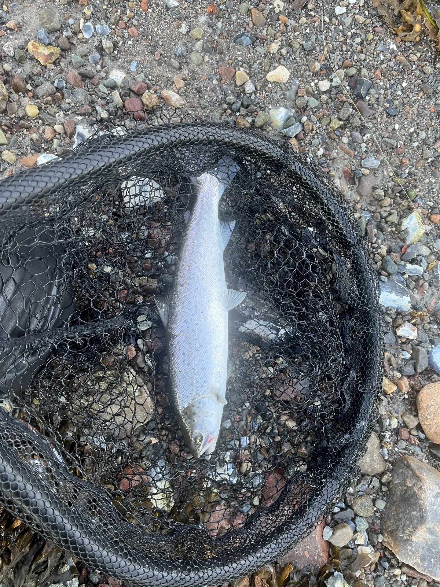 jim Fauerskov Johansen