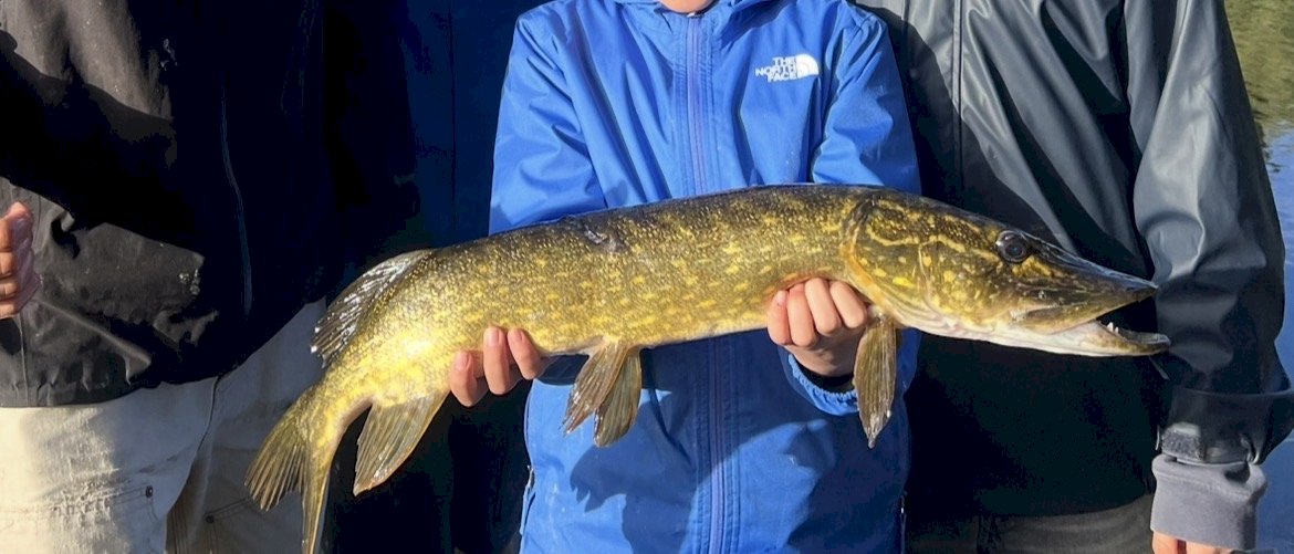FiskeKongenKaj