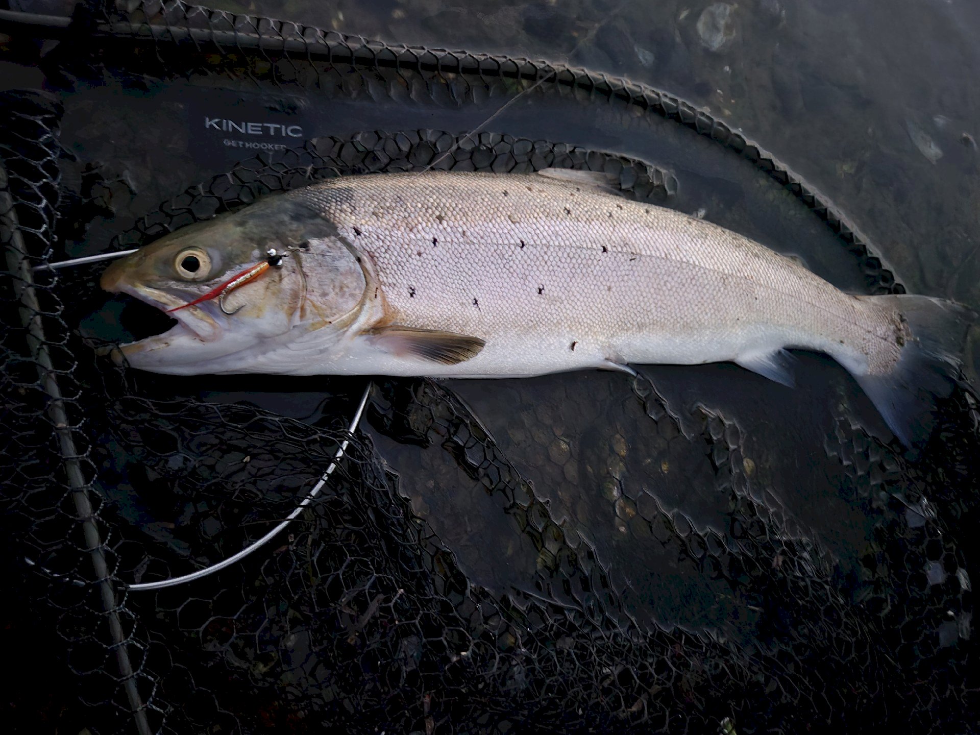 Manuel Jr  Cabanayan Racraquin