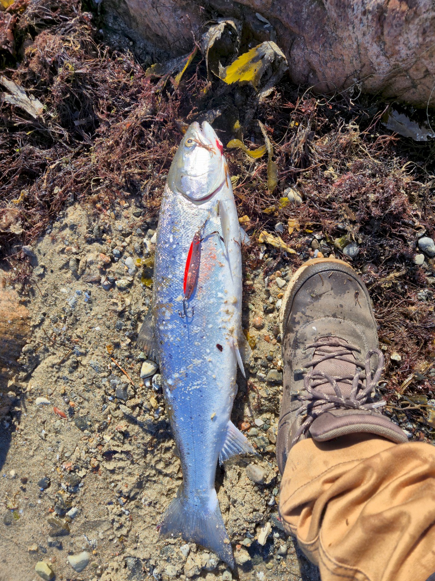 Manuel Jr  Cabanayan Racraquin