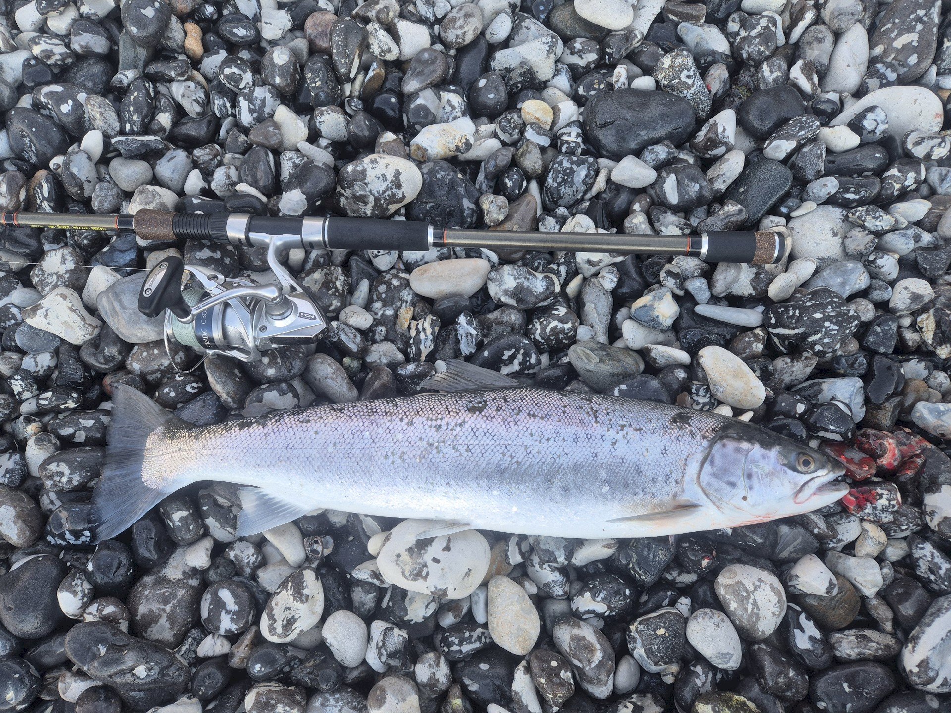 Martin Velling Pedersen