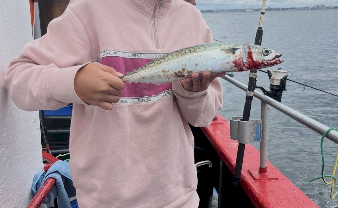 FiskeKongenKaj
