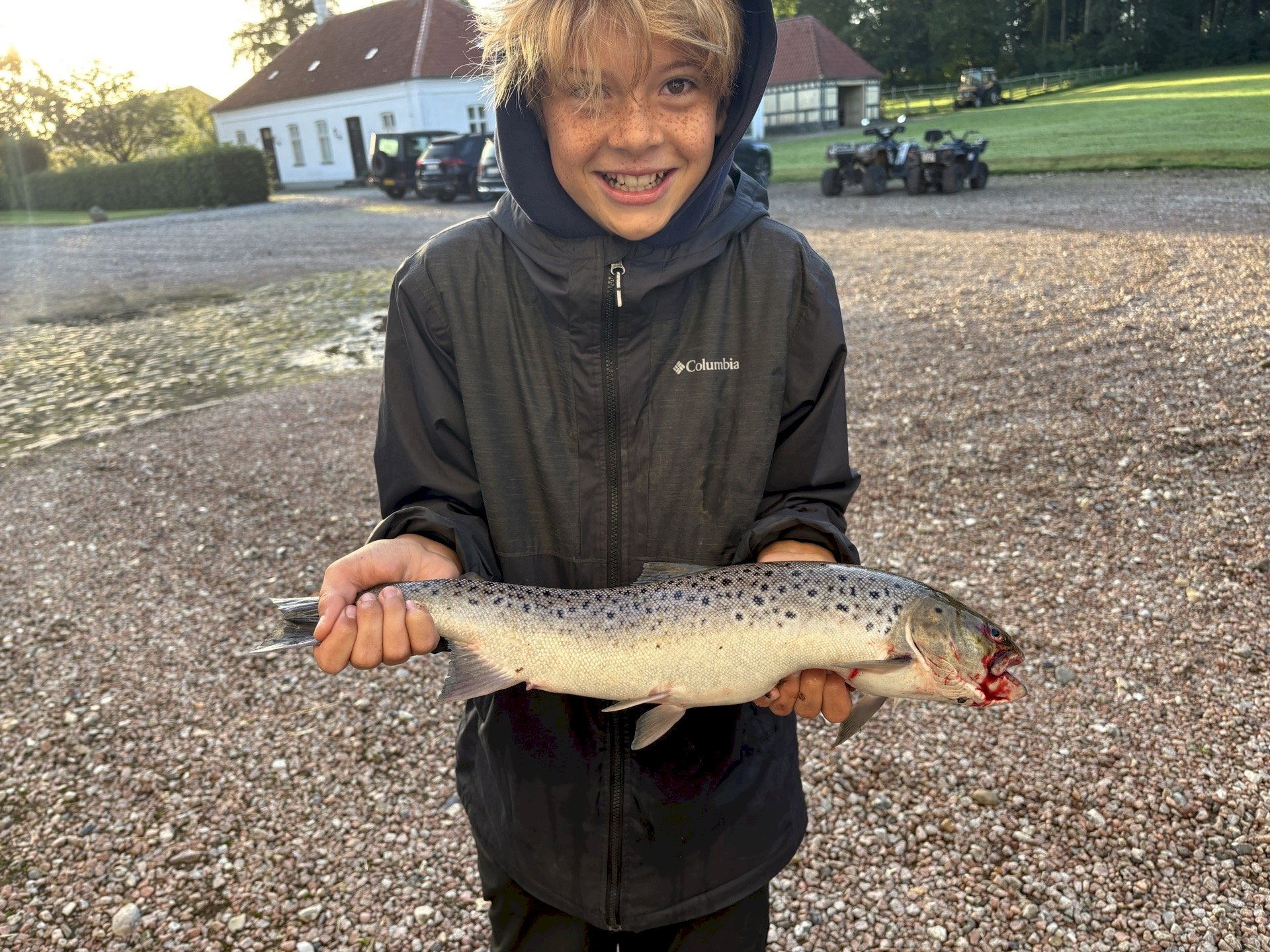 Valdemar 