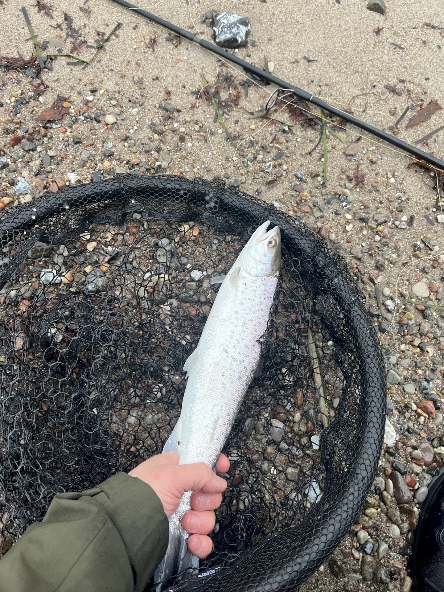 jim Fauerskov Johansen