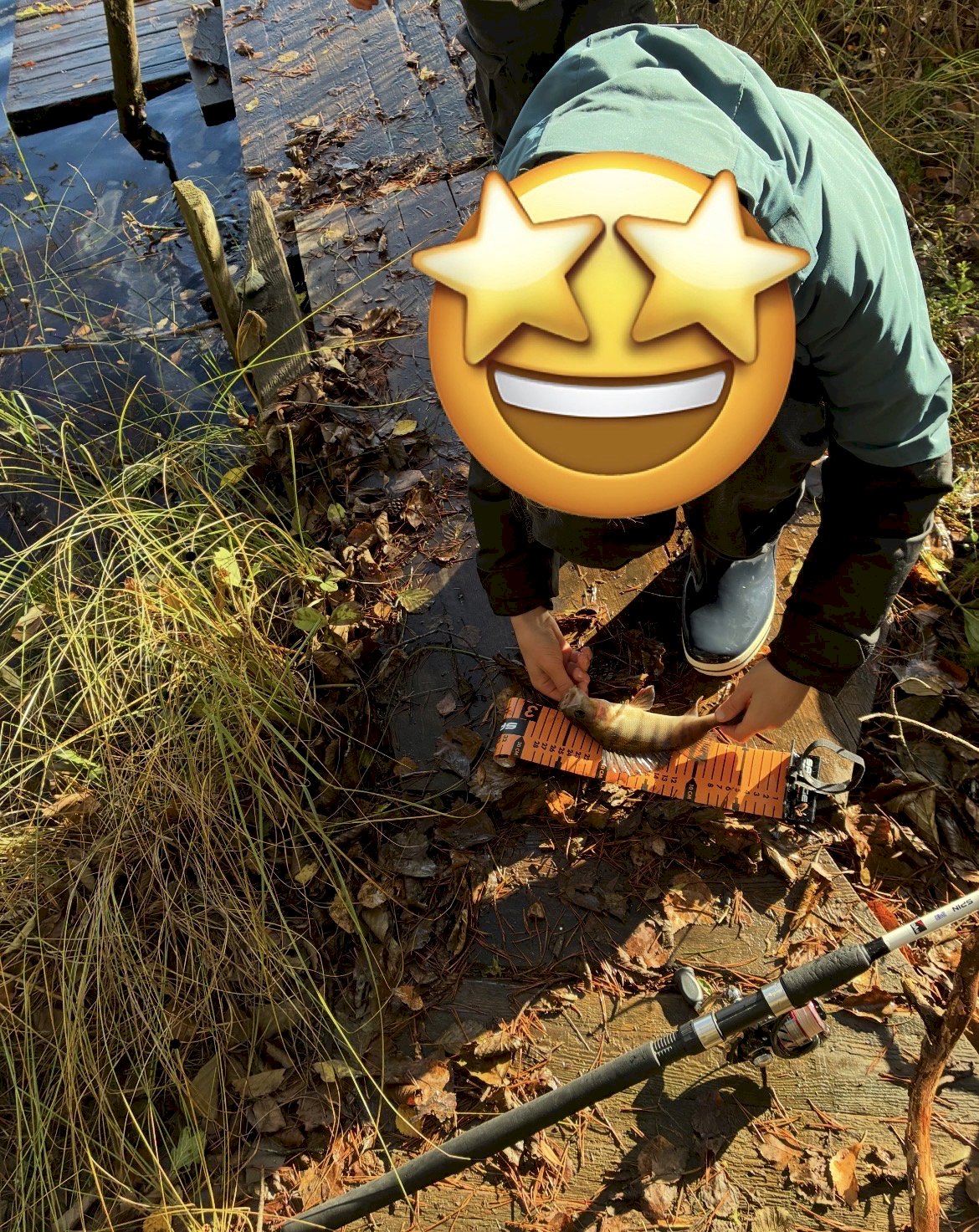 Fiskeren