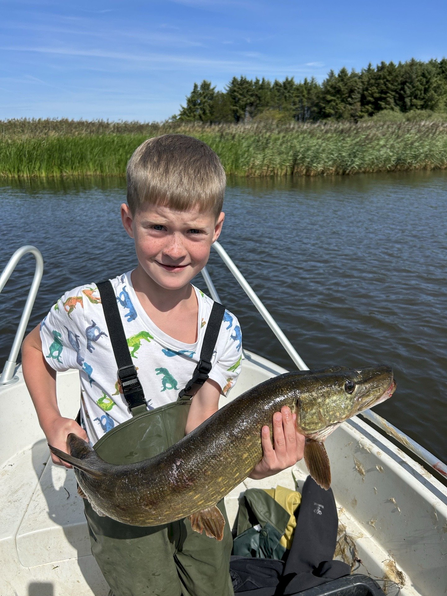 Aksel