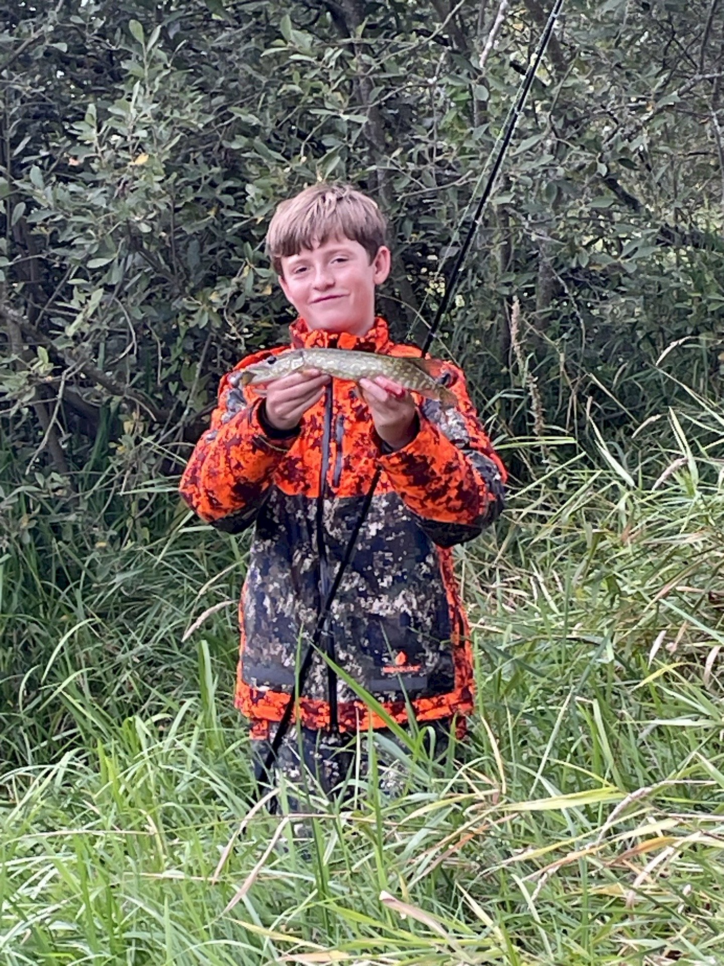 Aksel