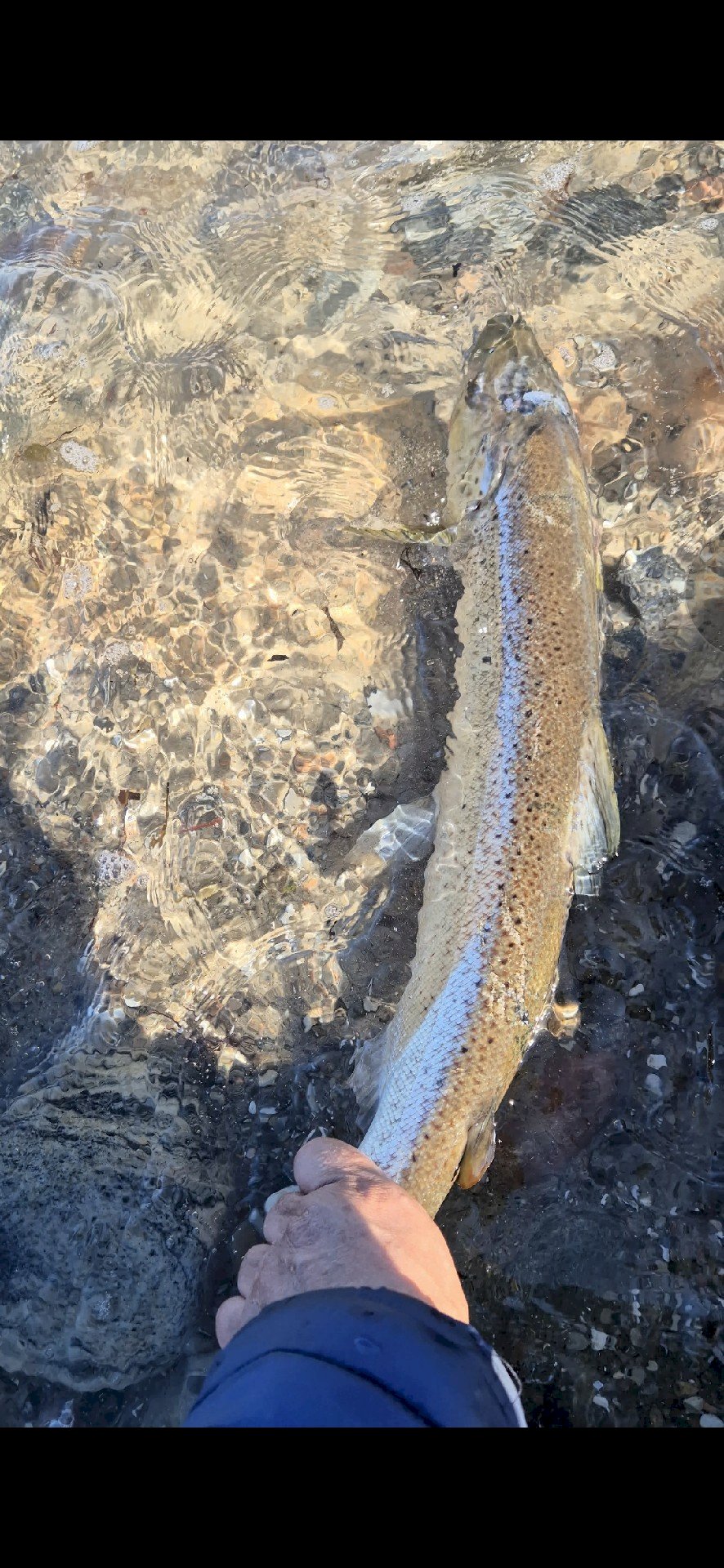 Manuel Jr  Cabanayan Racraquin