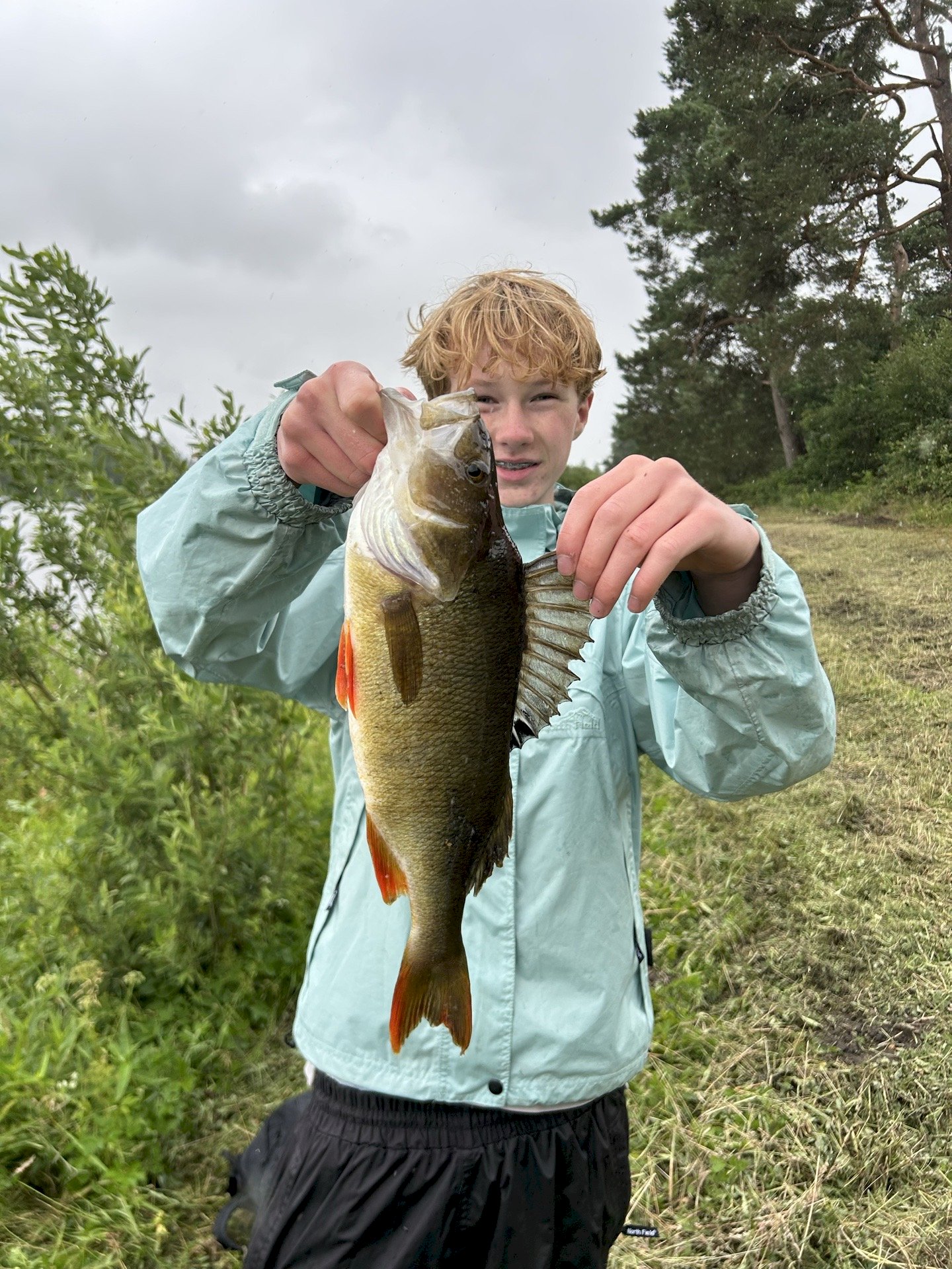 felix