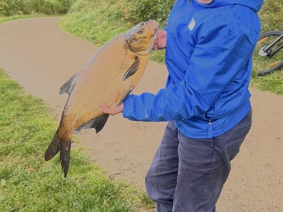 FiskeKongenKaj