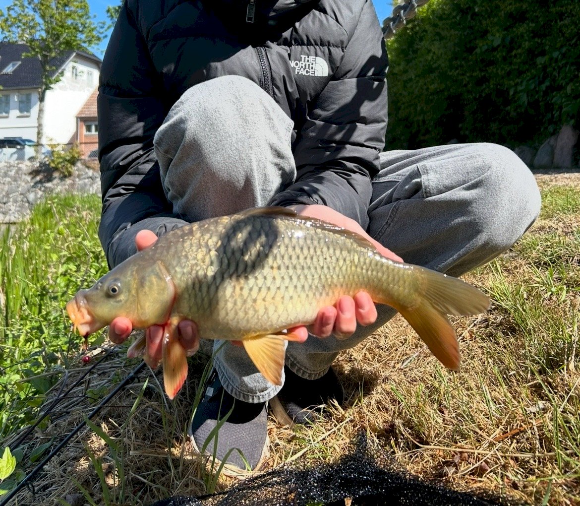 Milo Modin