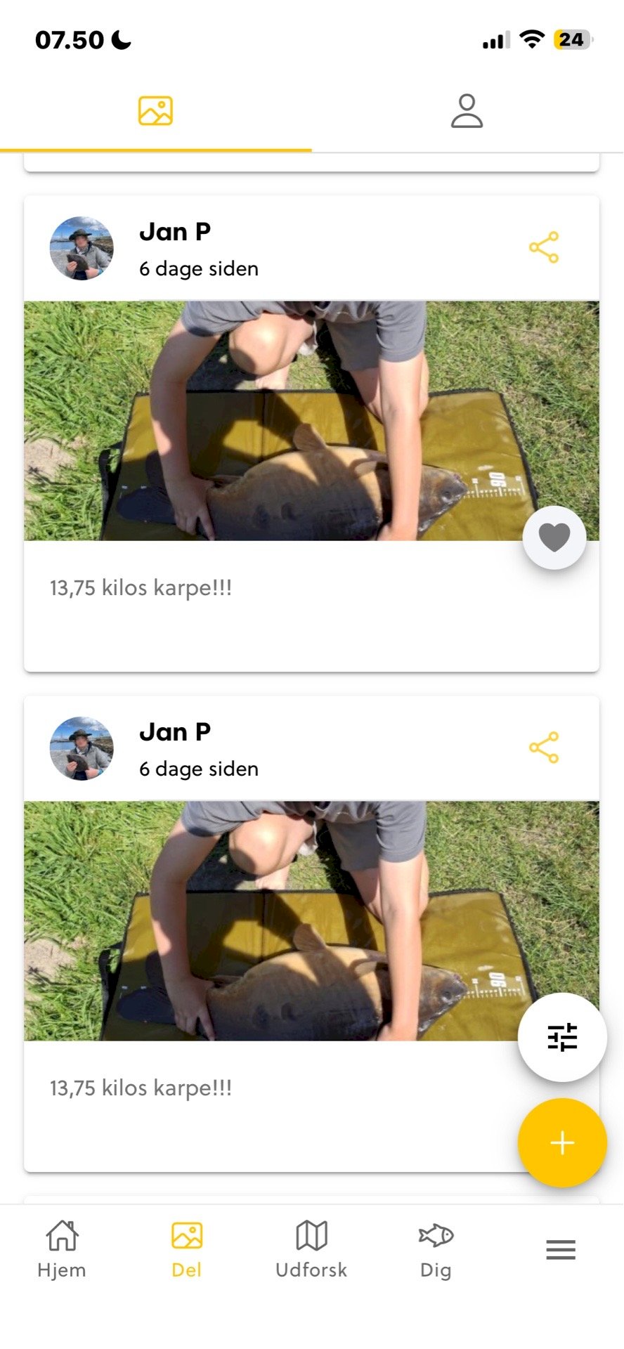 Jan P