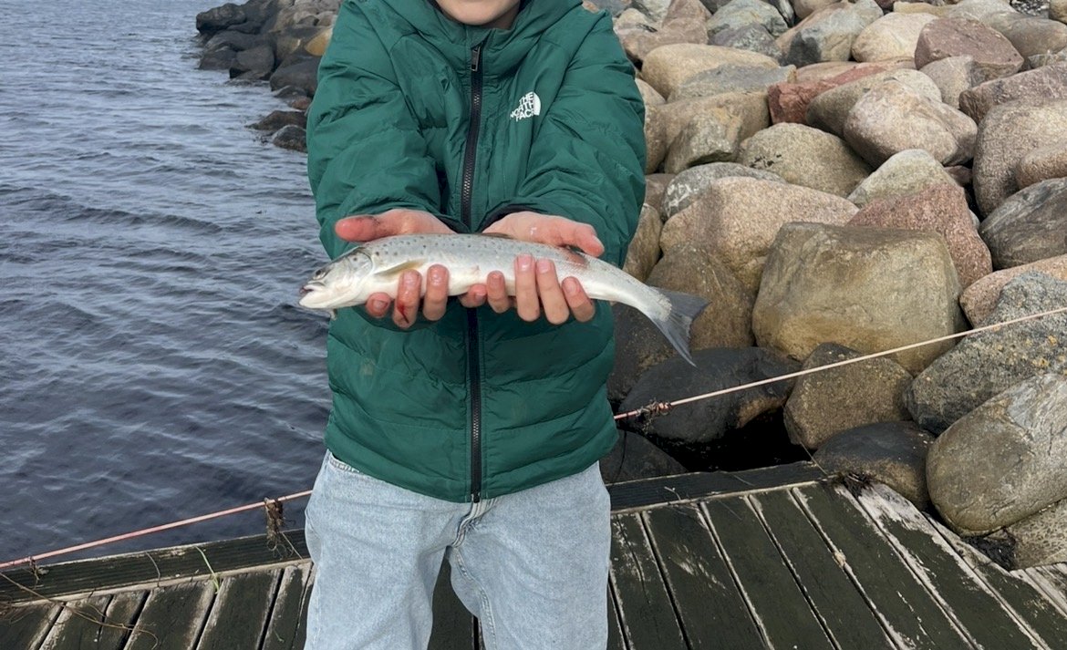 FiskeKongenKaj